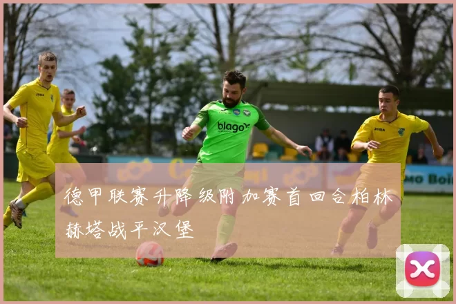 德甲联赛升降级附加赛首回合柏林赫塔战平汉堡