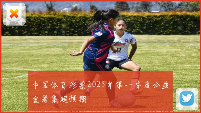 中国体育彩票2025年第一季度公益金筹集超预期