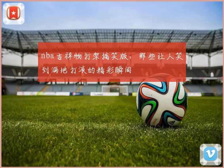 nba吉祥物打架搞笑版，那些让人笑到满地打滚的精彩瞬间