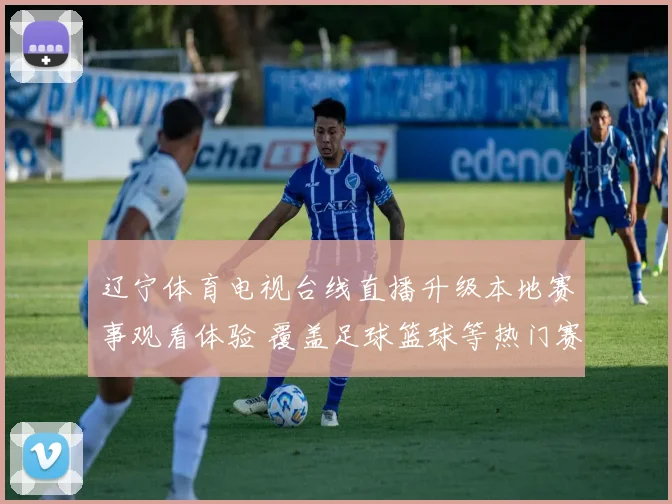 辽宁体育电视台线直播升级本地赛事观看体验 覆盖足球篮球等热门赛事转播