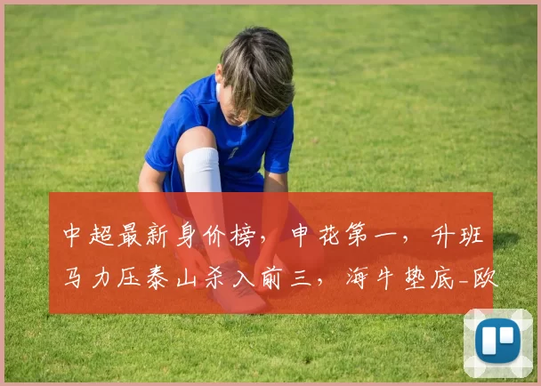 中超最新身价榜，申花第一，升班马力压泰山杀入前三，海牛垫底_欧元_赛季_内外援