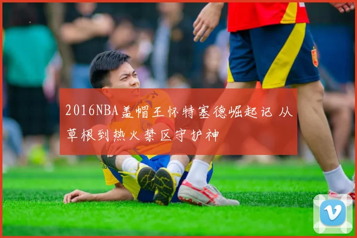 2016NBA盖帽王怀特塞德崛起记 从草根到热火禁区守护神